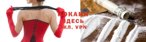 соль ск Алексин