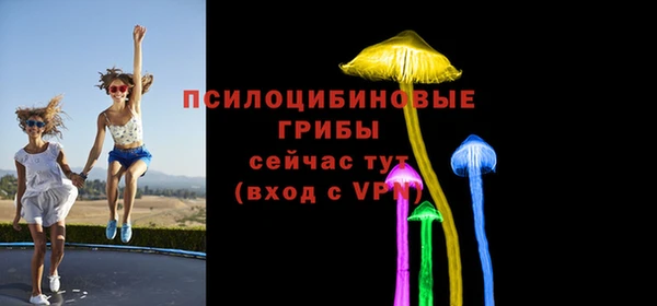 соль ск Алексин