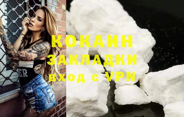 соль ск Алексин
