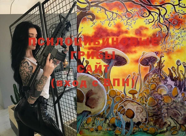 молекула духа Алзамай