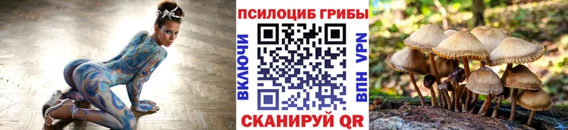 shop клад Новоалександровск Псилоцибиновые грибы прущие грибы