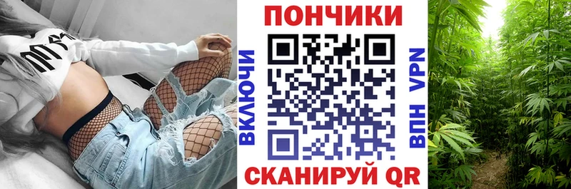 Канабис THC 21%  Новоалександровск 
